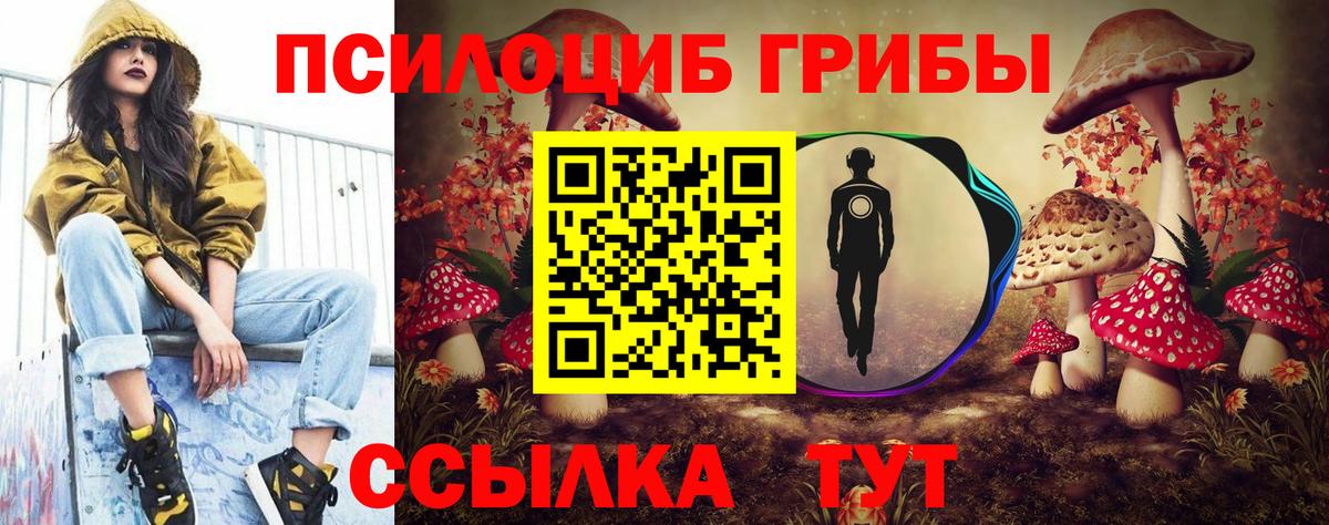 Дербент  Псилоцибиновые грибы GOLDEN TEACHER  Вход с VPN 