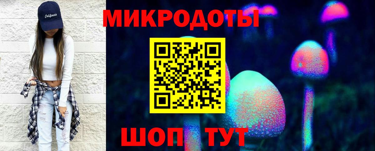 Псилоцибиновые грибы прущие грибы Дербент